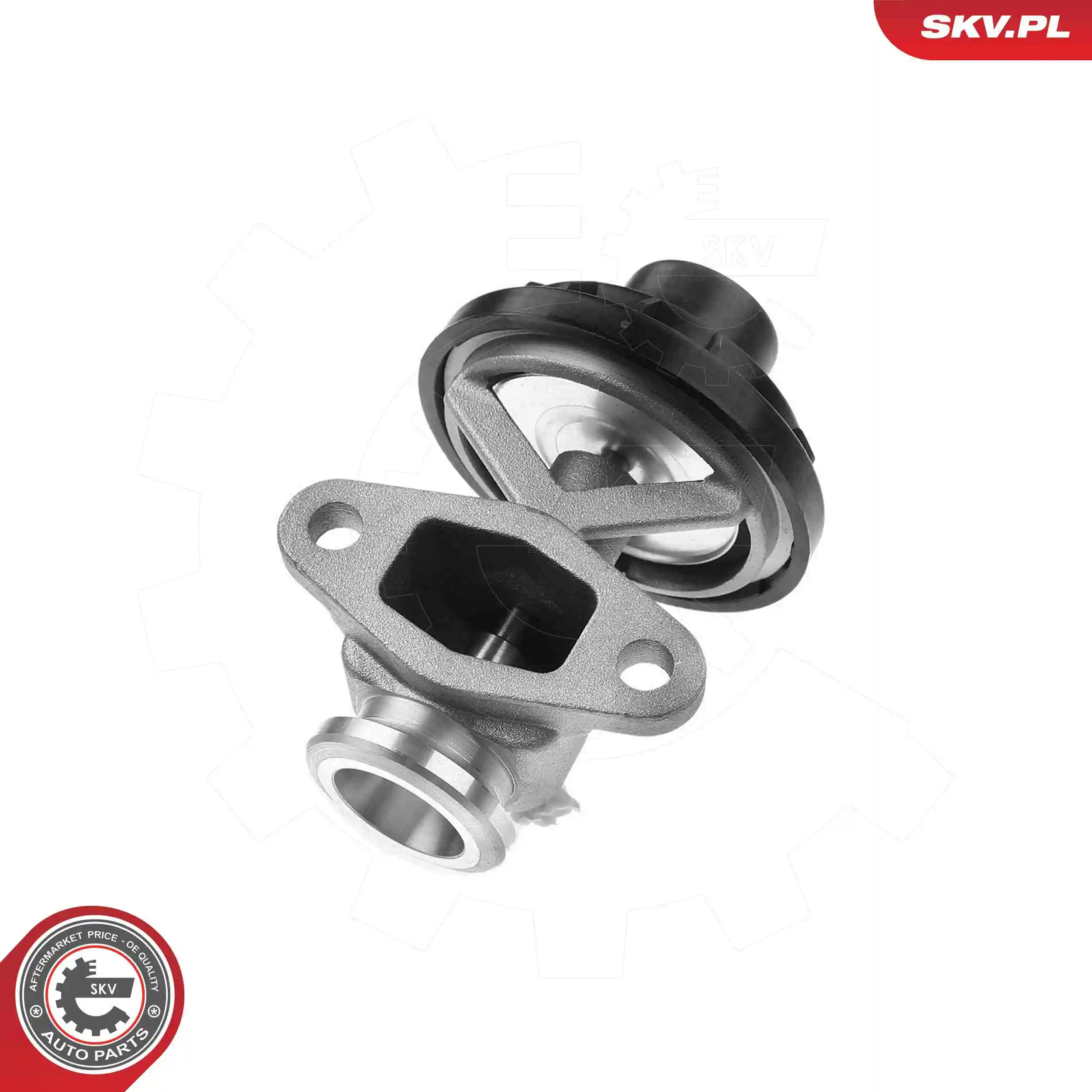 EGR Valve